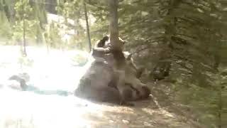 ВИДЕО ДОЛБОЁБА #3