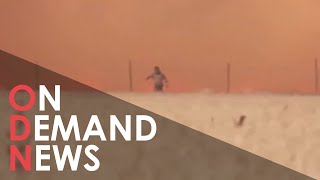 Fleeing from the Flames: How Europe is SCORCHING Under 40 Degree Heat