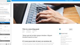How to set up a premade Single Blog Post Template with the Wordpress Customizer - Divi Den Pro