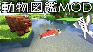 #5【動物図鑑MOD】ソーラの弱点はコレだったｗ【あかがみん/赤髪のとも】