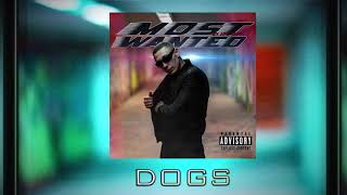ATC Taff & ATC Toro - DOGS