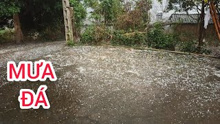 Mưa Đá Lịch Sử Tại Lạng Sơn Hôm 30 Tết  XUÂN Canh Tý 2020 |vungcaolangson|