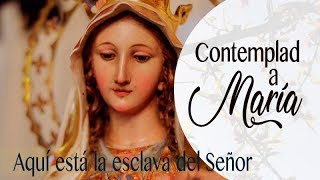Contemplad a María: Aquí está la esclava del Señor