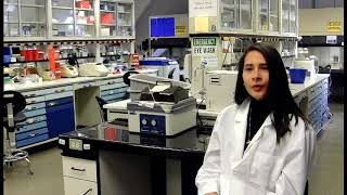 Introduction to Massachusetts Bay Community College