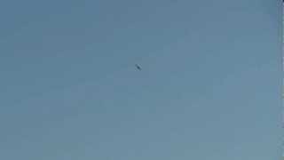 Eflite T-34 flight