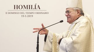 "La rebeldía a la voluntad de Dios es un camino de nuevas esclavitudes"