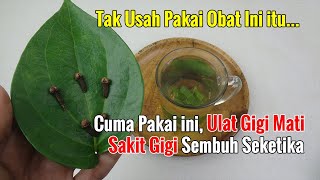 SEGERA CARI BAHAN INI, ANDA AKAN BEBAS BIAYA SAKIT GIGI SELAMANYA