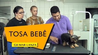 Tosa Bebê - Gilmar Lanza