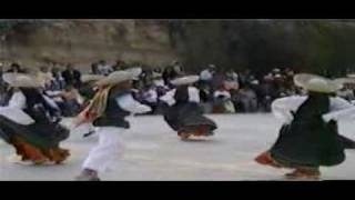 Danza De Ecuador 4