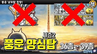 [냥코대전쟁] 풍운양심탑 시즌2! 울소와 갓즈도 금지 / 풍운냥코탑 36층~39층