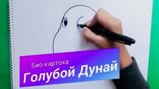Картофель Голубой Дунай описание и особенности