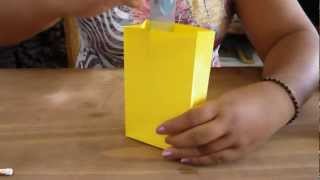 Bolsa de papel para regalo