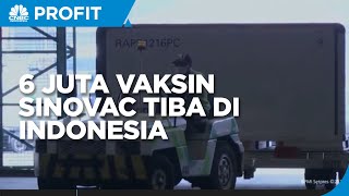 Lagi, Indonesia Kedatangan 6 Juta Bahan Baku Vaksin Sinovac
