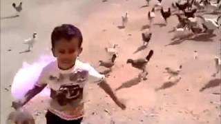 boy fights with hen..