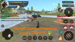 Белый Носорог чемпион в игре The Wolf ? игра game , смотреть мультфильмы онлайн мультики для детей