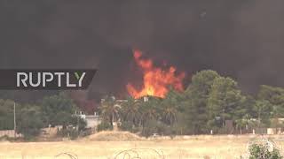 Greece: Fire breaks out along motorway north of Athens