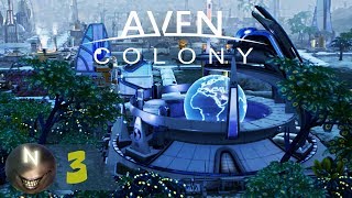 Aven Colony Опасный Колонист, Высшая Награда.