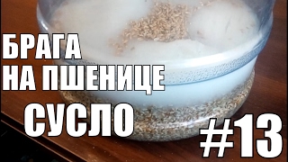 Брага на пшенице. Сусло.Самогонный аппарат своими руками. Самогон. Фильм №13.