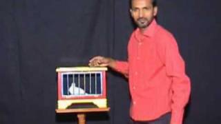 Dove magic magician m yaseen part 6