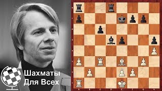 Шахматы. Андерссон - Стин: железная эндшпильная хватка Ульфа Андерссона!