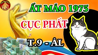 Tử Vi Tháng 9 Âm Lịch Tuổi Ất Mão 1975 Gặp Thời Phất Mạnh, Giàu Hơn Trúng Số