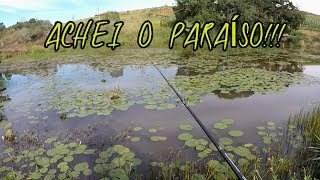 Eps.39 pesca de traíra na lagoa top das tops