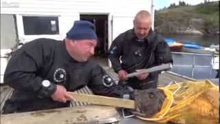 FULL] Russian Diver's Agony After Monkfish Bites Hand