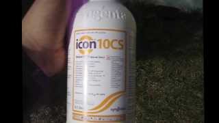icon 10 cs uygulama sonrası kanatlı karıncalarda görülen etkiler