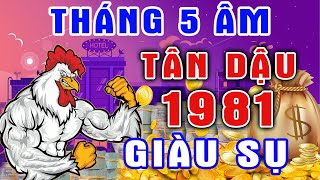 Tử Vi Tháng 5 Âm Hé Lộ Tuổi TÂN DẬU 1981, Thoát Mọi Khổ Ải, Đổi Vận Giàu Sang, GIÀU HƠN TỶ PHÚ