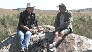 Erratics