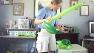 balloon turtle