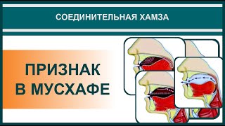 Айман Сувейд. 5. Соединительная хамза: ПРИЗНАК В МУСХАФЕ (с субтитрами на русском)