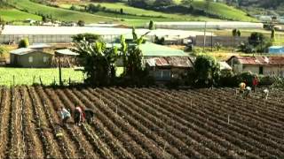Video Descubre La Vega