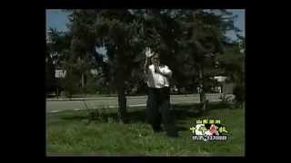 邸国勇山东电视台 中华武术Shandong TV Zhong Hua Wushu   Di Guoyong