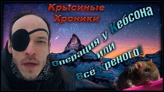 Крысы | Операция у Ксона, или - Всё Плохо! (Fancy Rats | Декоративные крысы)