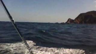 玄海シリーズ2010 ② １.１７ 真鯛のウキ流し釣り