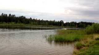 Pro Boat GEICO 29 1500kV Russia Moscow