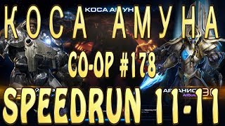 Коса Амуна - SPEEDRUN 11-11  Рейнор и Артанис  - Совместные задания StarCraft 2 Legacy of the Void