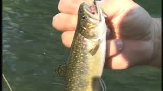 S2Ep6 (Classic)  - Swift River Fly Fishing and Watch Hill Stripers (2004)
