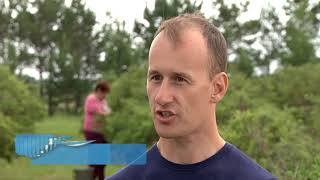 Три новых сорта жимолости вывели амурские селекционеры.