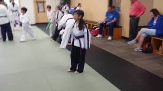 2018 04 11 Taekwondo 9th Birthday Spanking Machine
