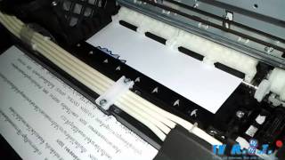 Epson L210