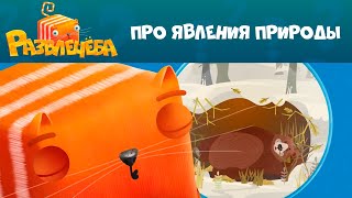 Кот Кубокот и Развлечёба на СТС Kids! Серия 6