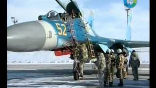 Барсы семиречья