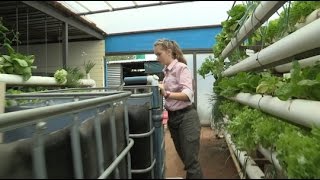 Kid Engineer: Growing Plants with Fish | Design Squad