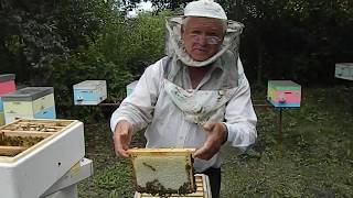 Пчеловодство.Работа с Нуклексом на пасеке Измайлова.