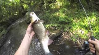 Fishing for chub on lures in England. Ловля голавля на блесны в Англии