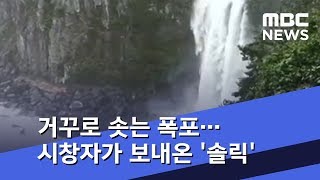 쓰러진 야자수와 중앙분리대, 거꾸로 솟는 폭포…시창자가 보내온 '솔릭' (2018.08.24/뉴스데스크/MBC)