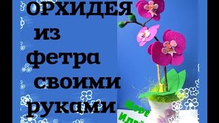 Орхидея из  фетра своими руками Phalaenopsis Orchid