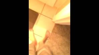 Jackass (ft. 8 inch dildo)